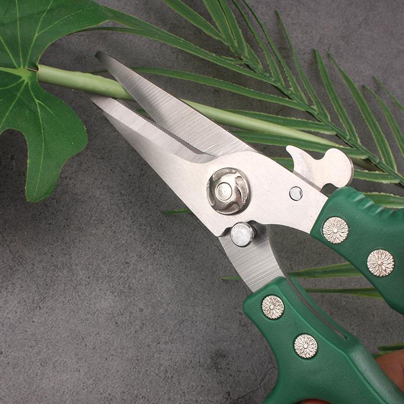 Stainless Steel Pruning Shears: Powerful Garden and Orchard Tree Branch Cutter