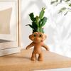 Decorațiuni pentru casă – Ghivece de flori decorative