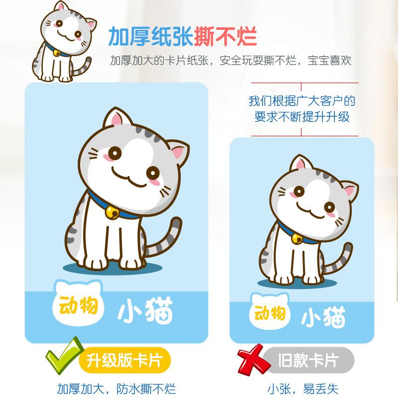 Tear Not Tear Early Education Book Toy Baby 1-3-6 Year Old Toddler Reading Picture Cognitive Card