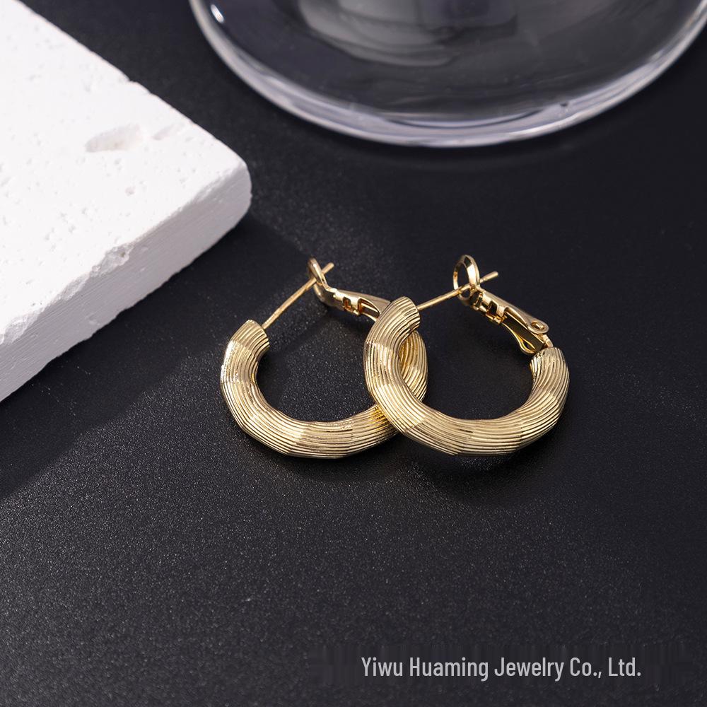 Silver Needle Circle Earrings, Fashionable High-End Copper Ear Hoops, Light Luxury, Versatile Jewelry Accessory.