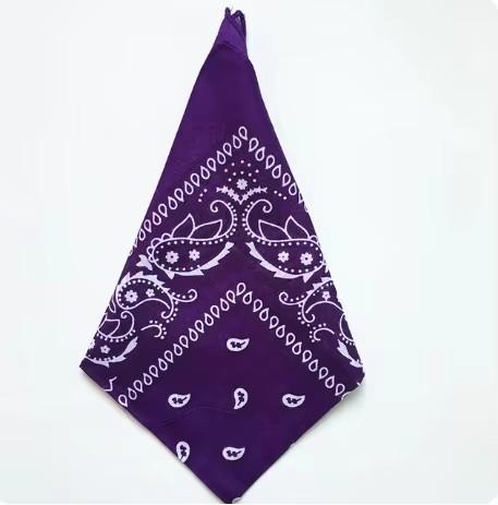 1/4/6pcs Paisley Bandana Printed Square Scarves Wristband Hair Band Neck Scarf Headwear Handkerchief Unisex Fashion Head Square
