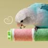 Non-slip Parrot Perching Station Rack Wear-resistant Parrot Grinding Stand  Bird Cage