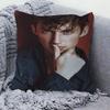 Troye Sivan Cushion Cover Pillowcase Upholstery Sofa Throw Pillow Home Decor Pillowcas