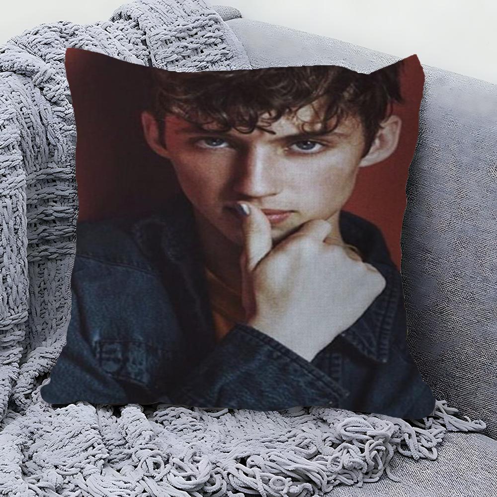 Troye Sivan Cushion Cover Pillowcase Upholstery Sofa Throw Pillow Home Decor Pillowcas