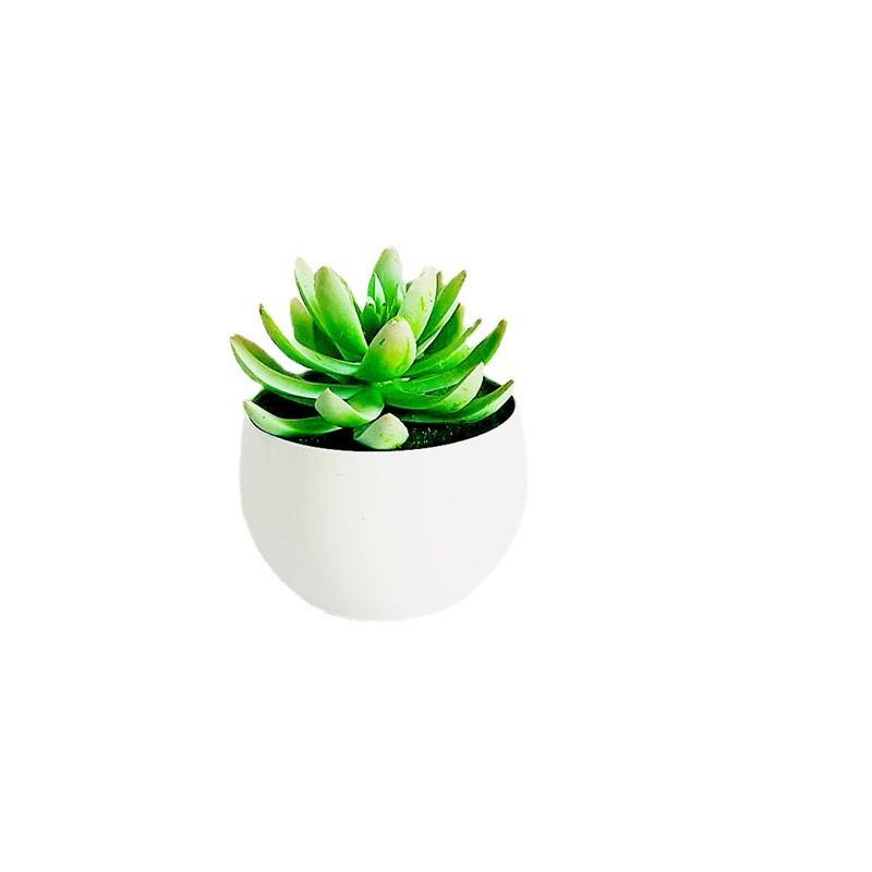 Simulated Succulent Bonsai Pot With Lightweight Pvc For Home Office Interior Design