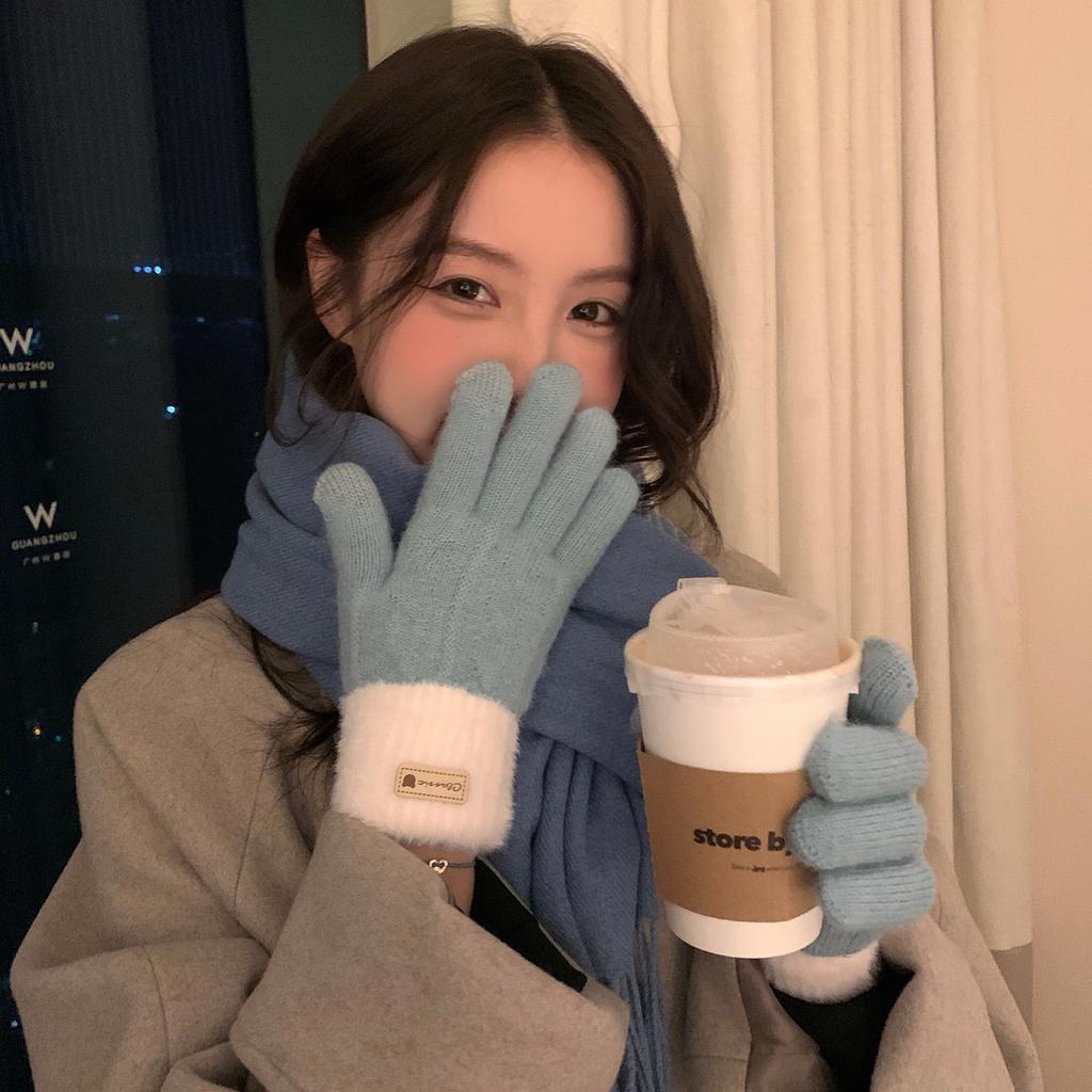 Jintai Korean Version of Winter Thickened Color Blocking Gloves Warm Plush Double Layer Touch Screen Split Knitted Female Cycling Student