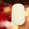 Japanese Paper Lantern Blank Hanging Decorative Lantern Outdoor Garden Party Decorations Soft Ambiance