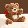 Bear Rose Teddy Plush Toy Cartoon Stuffed Animal Doll Cute Kids Gift Birthday