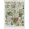 Arte Murale Classica Vintage Piante Fungo Fiore Medicinale Insetto Farfalla Verdura Zucca Carota Tela Poster ad Olio e Stampe