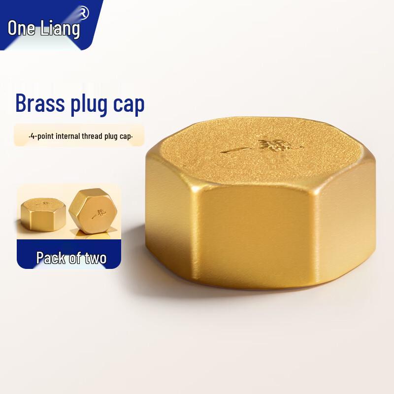 Brass Internal Thread Water Pipe Plug (2-Pack)