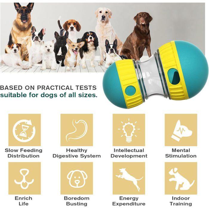Jouet interactif pour Chien, Jouet Indestructible pour Chiot, Mangeoire, Distributeur de friandises