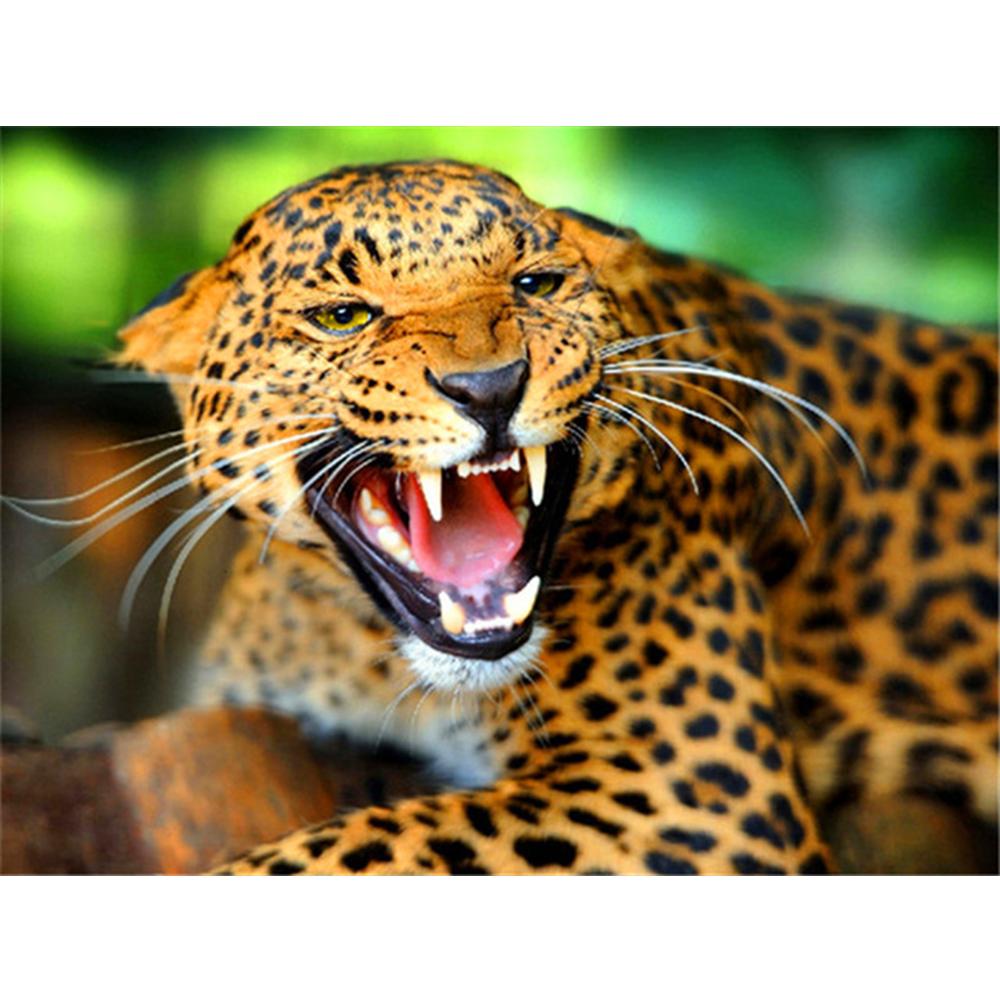 Full 5D Diamond Painting Animals and Women DIY Diamond Embroidery Diamond Mosaic Cross Stitch Kits Home Decor Gift