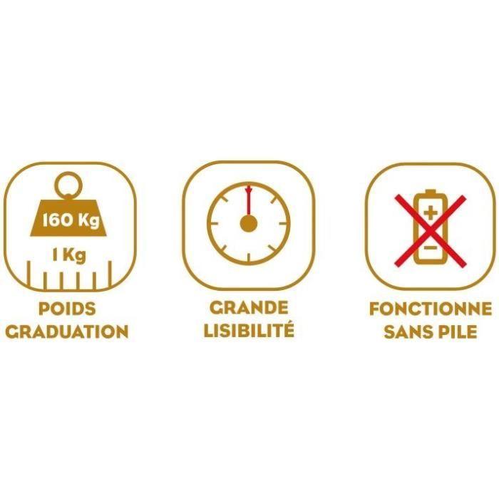 Pèse-personne - LITTLE BALANCE - 8135 - PRO M 160 - Balance mécanique - 160 kg / 1kg - Noir / Argent