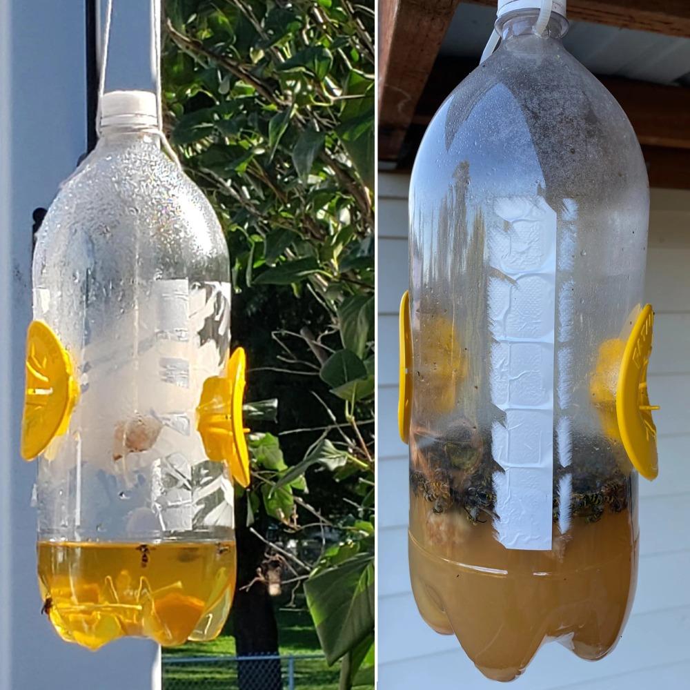 10 Pezzi Trappola per Vespe Trappola per Moscerini della Frutta Imbuto Riutilizzabile in PP Raccogli Api Calabroni Controllo Parassiti Trappole per Insetti Forniture per Giardino Esterno Agricoltura