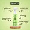 Graceberry Rosemary Water Spray For Hair Growth (200 ml) | Hair Spray for Regrowth | Rosemary Hair Mist | Adds Shine | Helps Reduce Hairfall | Str