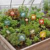 15Pcs Wooden Plant Labels, Vintage Waterproof Garden Markers for Vegetables Herbs, Solid Wood Stakes with Pointed Tip & English Names, Outdoor/Indoor