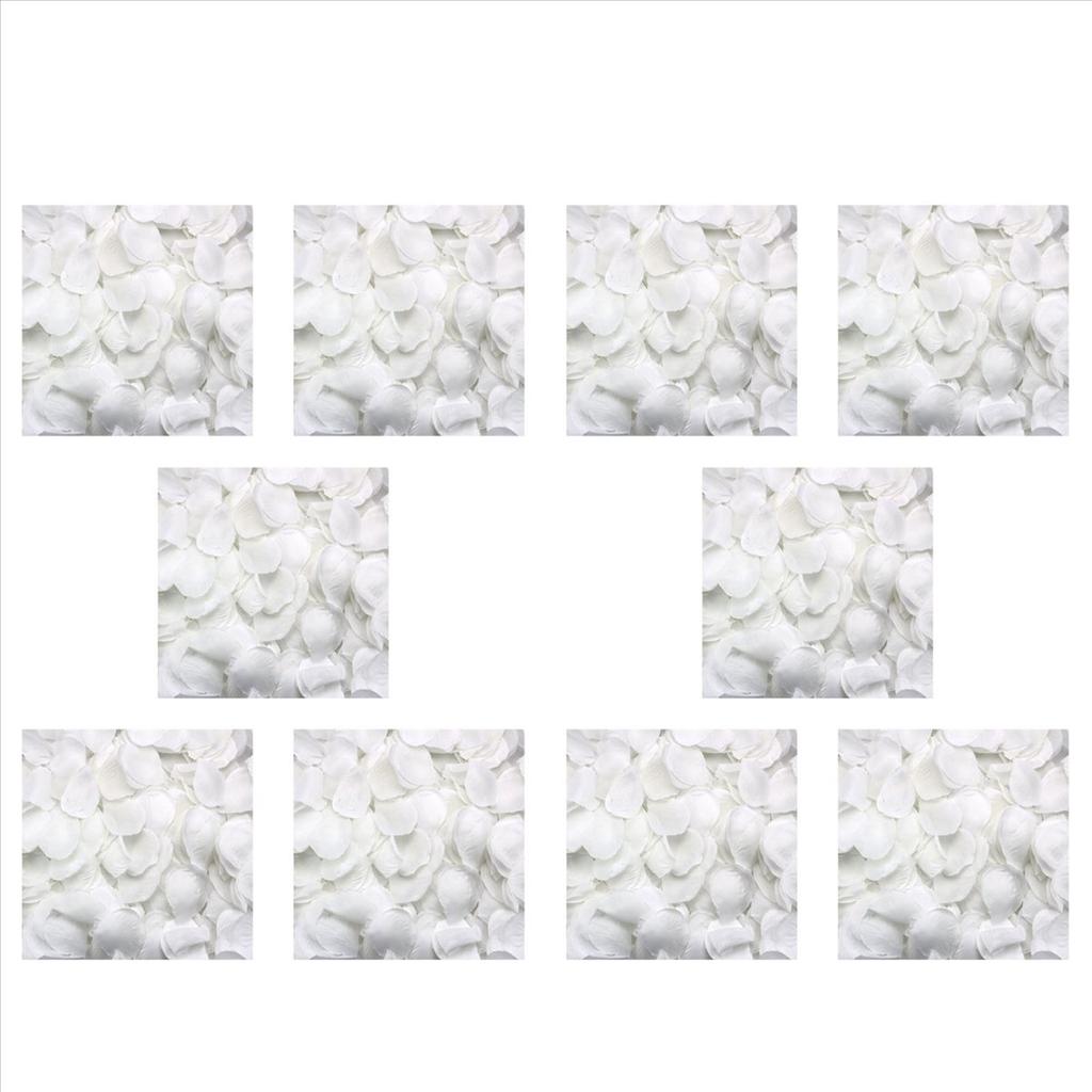 ABUL-5000 Rose Petals Scattered White Decoration Wedding Party