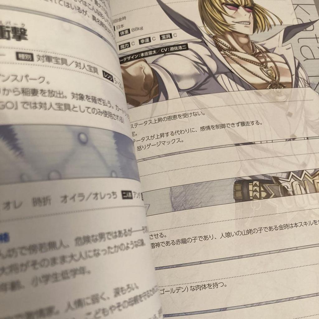 [USED] Fate/Grand Order Material II FGO Setting Materials Collection Art Book