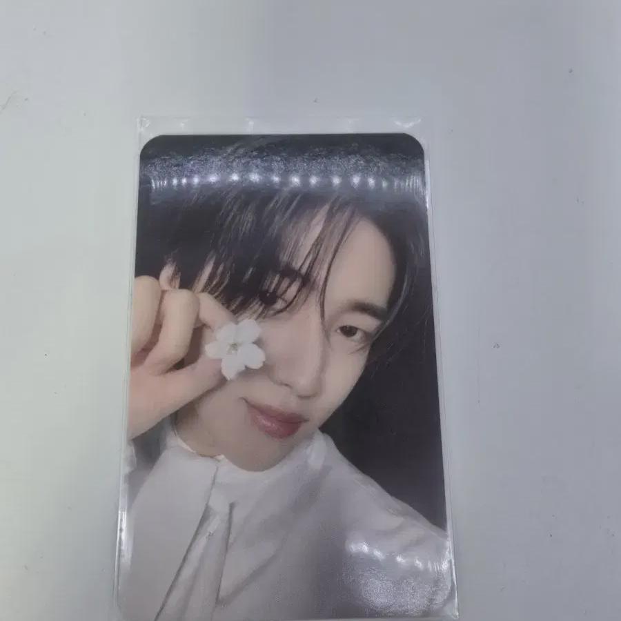 

Jae-chan Poster Album Foca