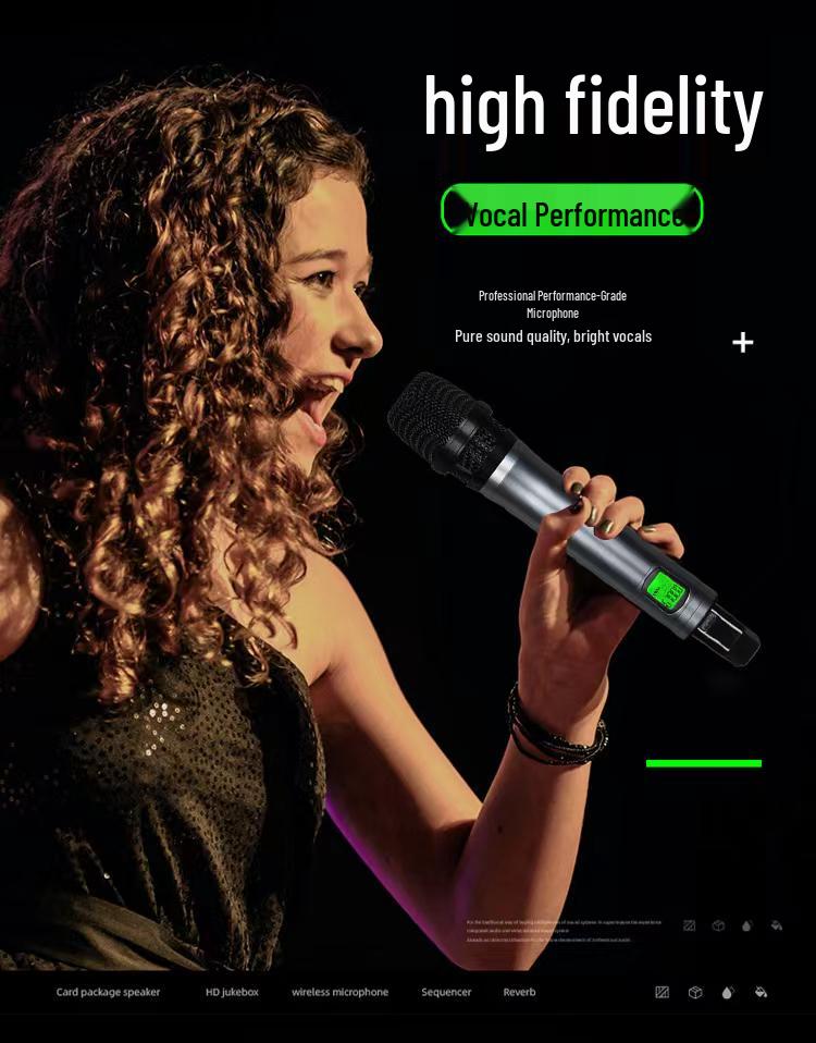 Wireless Professional Microphone Set with Anti-Howling for Karaoke, Meetings, and Performances