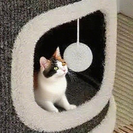 Drapak dla kota Wieża do wspinania dla kota Beczka do drapania dla kota z 3 jaskiniami dla kota Sisalowa podkładka do drapania Wielopoziomowa wieża do zabawy dla kota dla rodziny z wieloma kotami