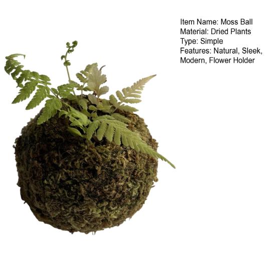 Mosbold Blomsterpotte, Naturlig Grøn Bonsai Planteholder, Dekorativ Mosbold Planteholder til Hjem, Have, Bryllupsfest Dekoration