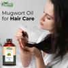 Organic Zing Mugwort (Artemisia Vulgaris) Oil | Pure & Natural Essential Oil for Skincare, Hair Care, Aroma & Diffusers - 118ml/3.99fl Oz