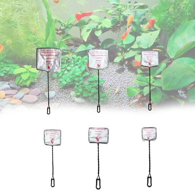 10Pcs Aquarium Maintenance Net for Fish Catching and Waste Removal Sturdy and Efficient Fishing Net for Cleaning Work