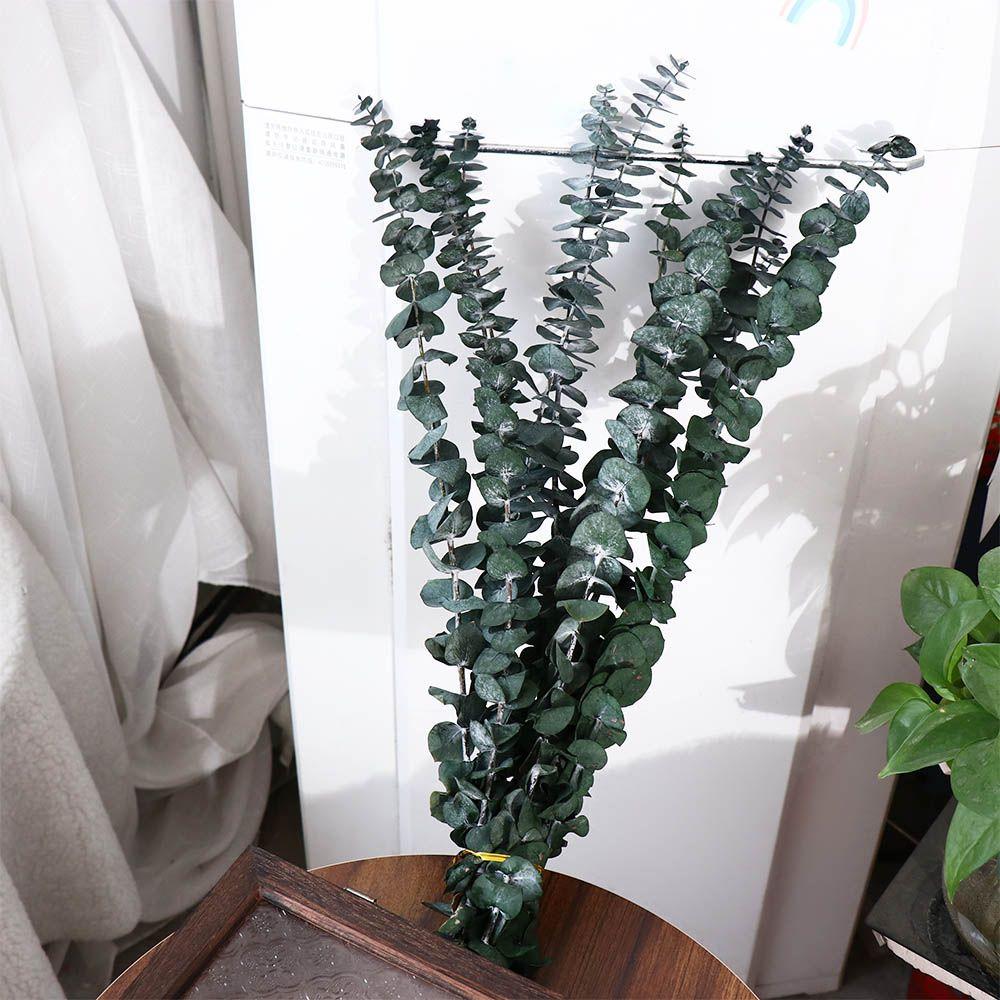 10 Pcs Real Leaves Hanging Dried Eucalyptus 22 inch Green Artificial Plants Flowers Made From Fresh Eucalyptus Large