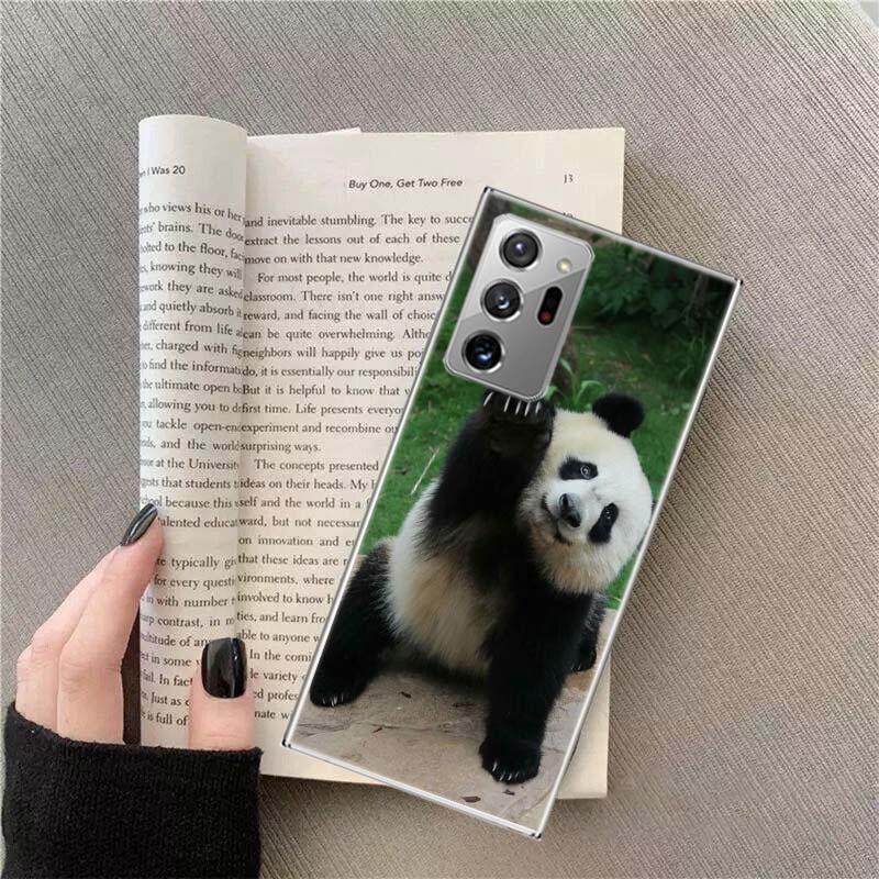 Panda Baby, Giant Panda Family Phone Case For Samsung Galaxy S25 Edge S24 S23 FE S22 S26 Ultra S21 S20 S10 Plus Capa Soft