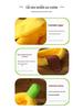 Removable & Washable Winter Dog and Cat Sofa Bed - Banana Boat Design