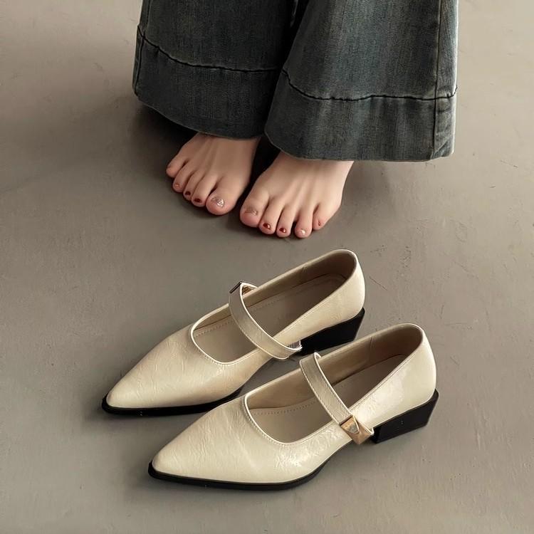 French Pointed Thick Heel Mary Jane Shoes Women's Spring 2025 New One-word Belt Low Heel Versatile Skirt Single Shoes