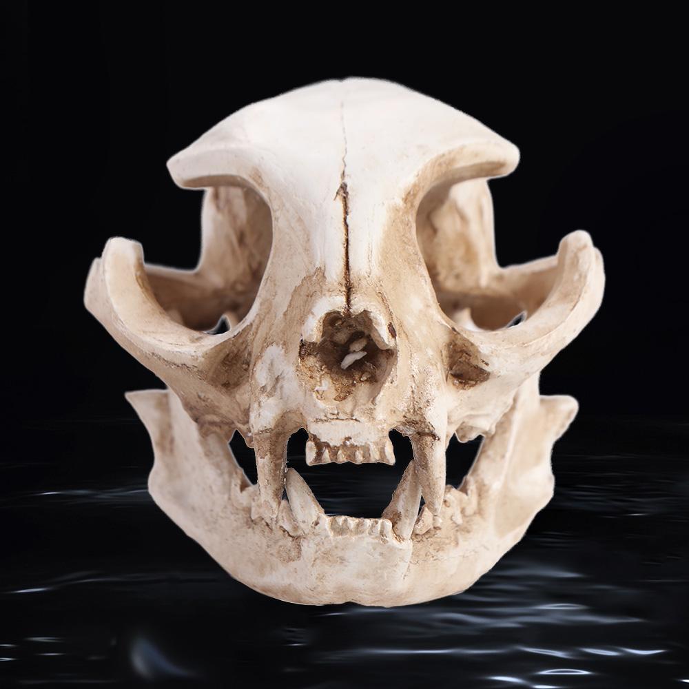 Scary Animal Skull Ornament Funny Cat Skull Statue Artificial Skull Head Halloween Decor Gifts