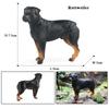 Oenux New Farm Dogs Pet Figurines Rottweiler Collie Huskie Bulldog Schnauzer Model Action Figures Cute Home Decoration Kids Toy