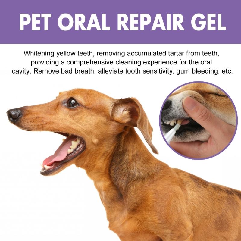 Profesionální gel Pet OralRepair pro hloubkové čištění zubů Psa Orální zdraví Opravný gel Jemné složení Zubní deodorizace
