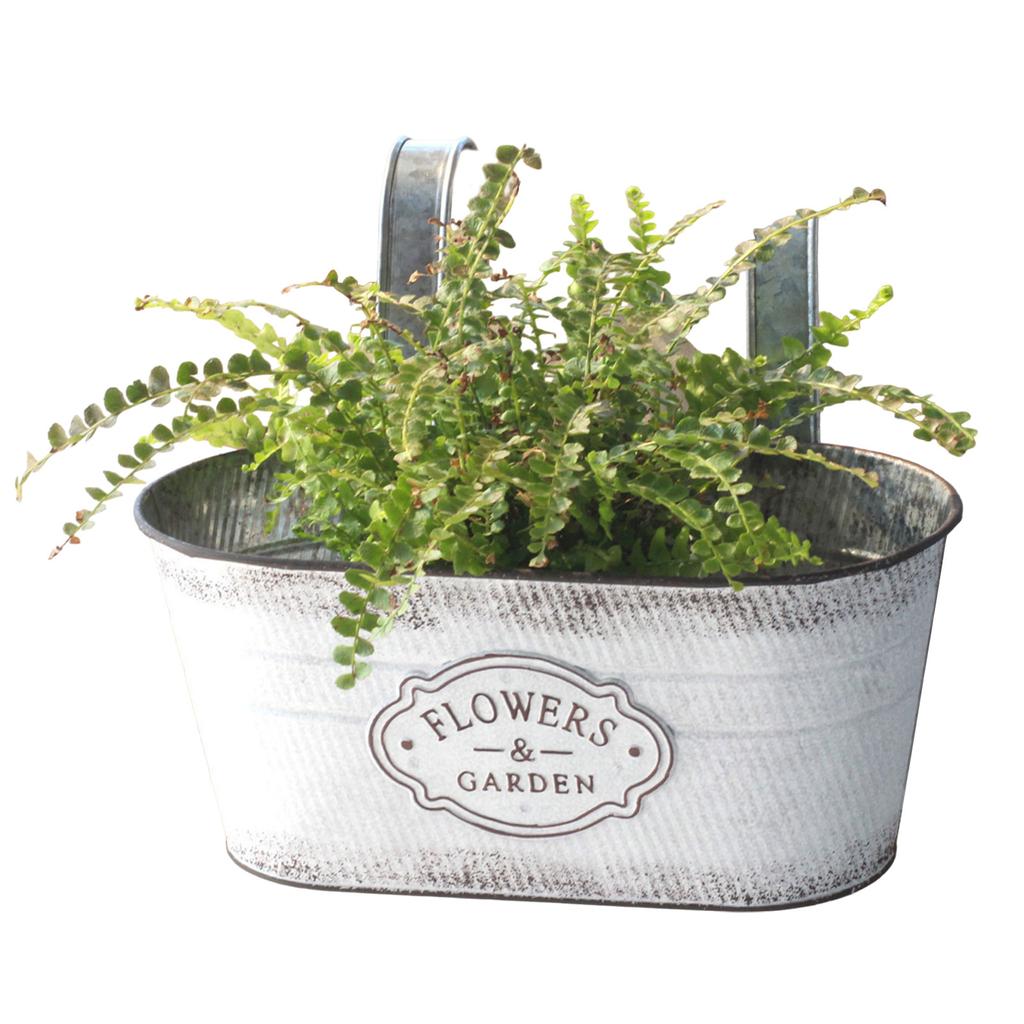 Závěsné květinové sukulenty květináče železné nástěnné vnitřní venkovní dekorace domácí zahrada Kovový kbelík květinový koš