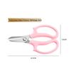 Garden Pruning Shears