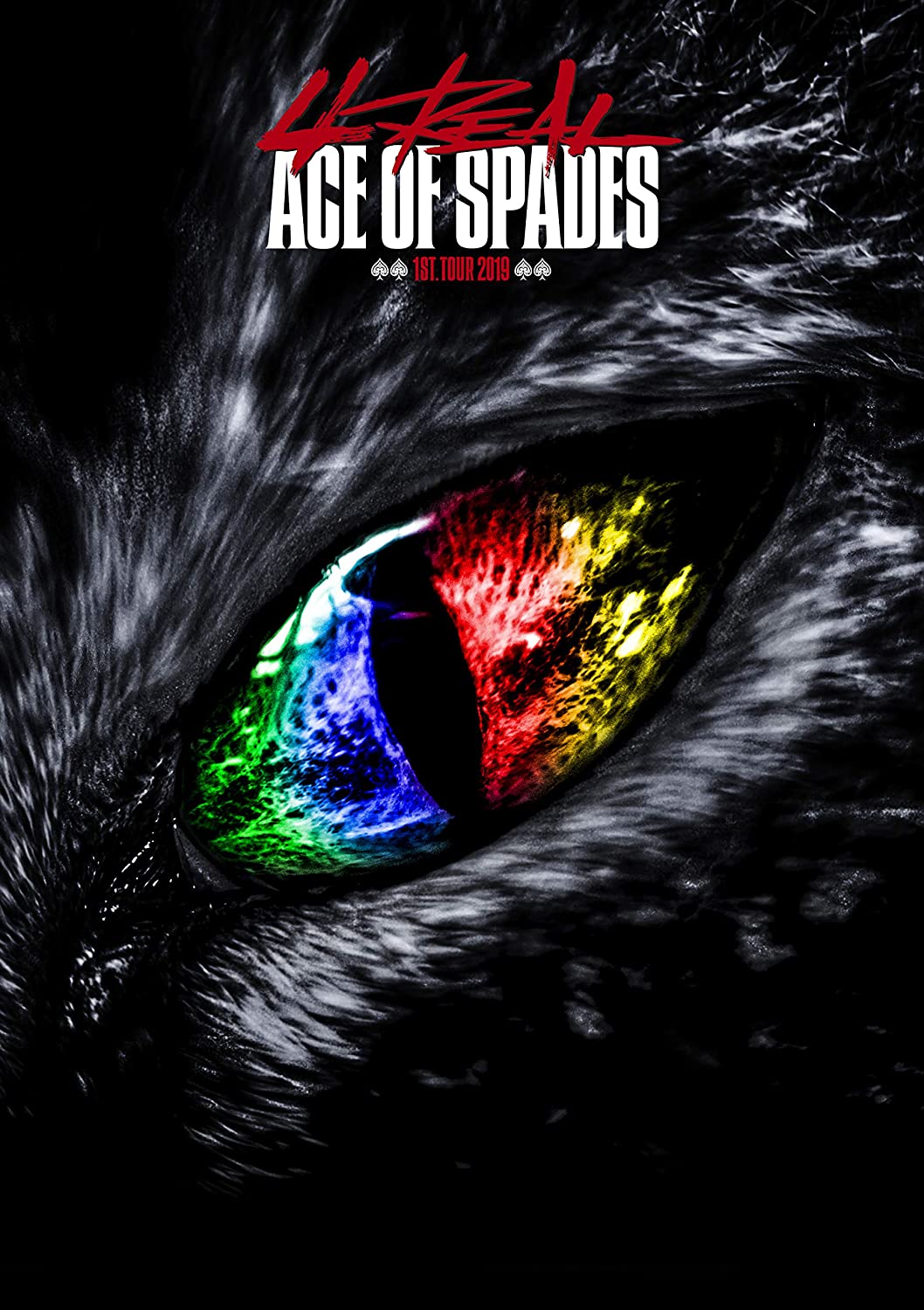 

DVD DVD - ACE OF SPADES 1st TOUR 2019 4REAL Japan Music Video Used