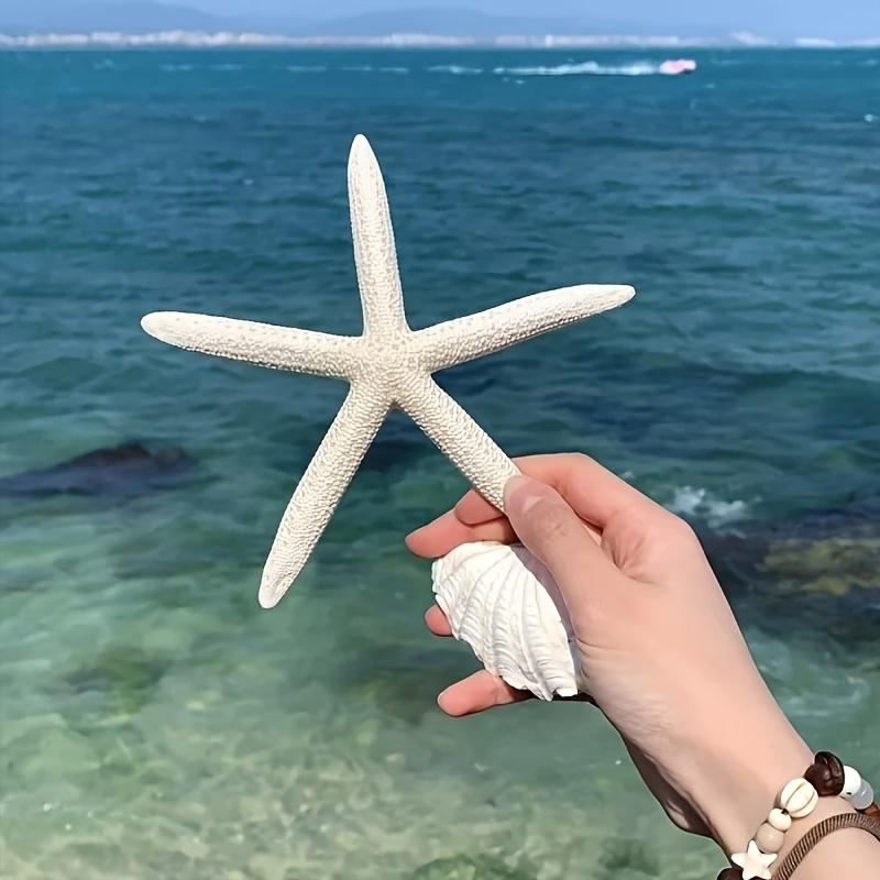 1 pz Set di stelle marine in resina fatte a mano in stile bohémien (4 pezzi)