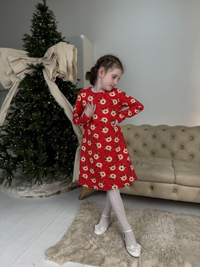 Girls’ Warm Dress – Soft Brushed Knit with Back Snap, Elegant & Comfy, Demi-season, 6004-024 HC