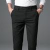 Summer thin men's striped casual pants trendy small feet trousers men's British trousers men's slim men's trousers