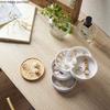 Wooden Cover Plastic Jewelry Box Rotatable Jewelry Storage Box Five-layer Jewelrys Sorting Box Desktop Round Earring Organizer