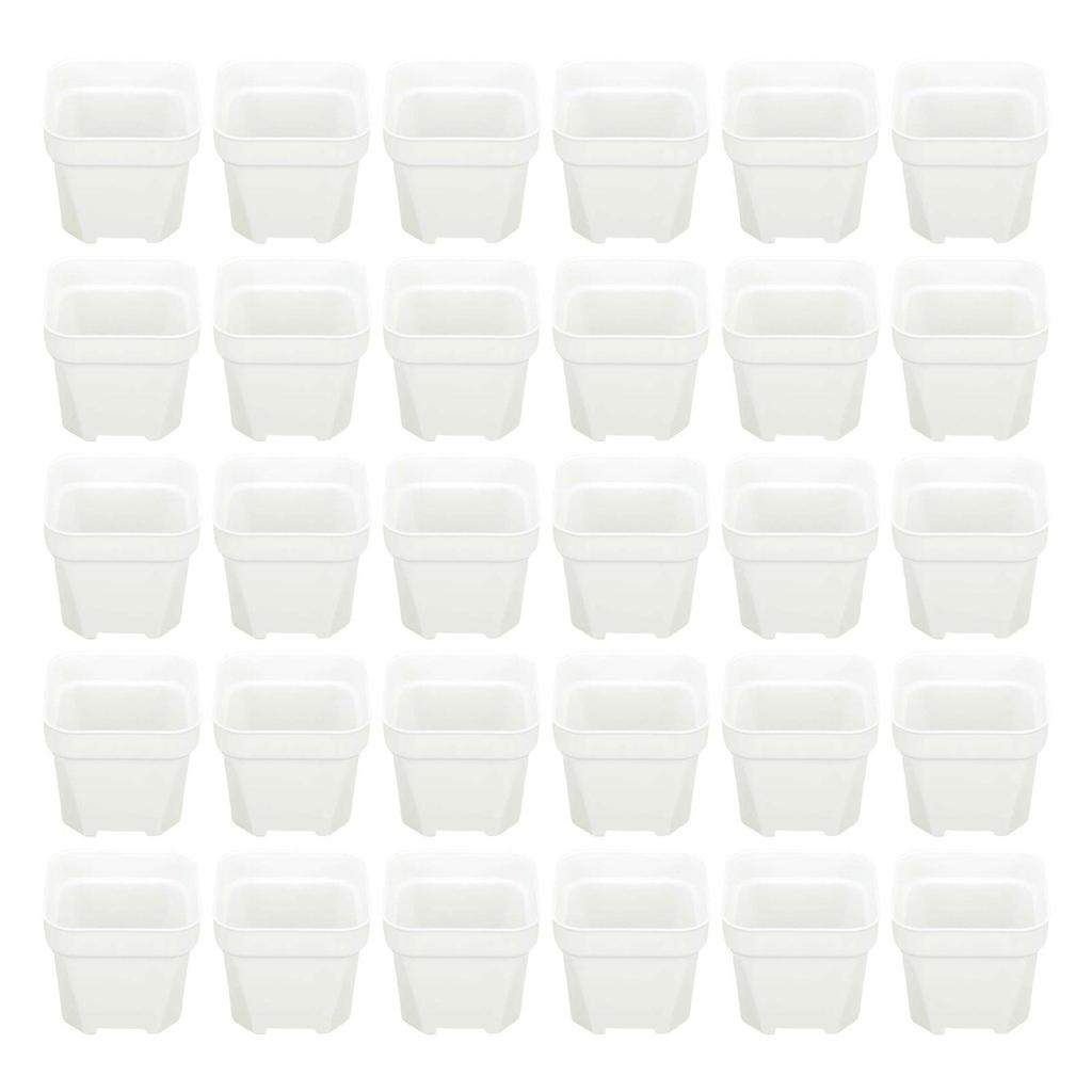 30 Pieces Plant Nursery Pots Planters Flowerpots Portable Bonsai Container Seedling Pot for Indoor Outdoor Home
