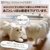 [Wellfun] Bietet Heilung mit realistischem Aussehen und Miau-Geräuschen. Sibirische Katze. Eleganz. Katzenkommunikation. Roboter. Pflege. Haustierverlust.