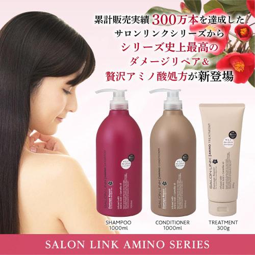 Salon Link Amino Damage Repair Tsubaki Treatment 300g
