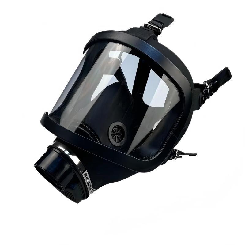 DAXTE Full-Face Industrial Dust Gas Mask