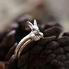 Multi Style Rabbit Shaped Ring Pack Crystal Embellished Alloy Jewelry For Everyday Wear Special Occasions