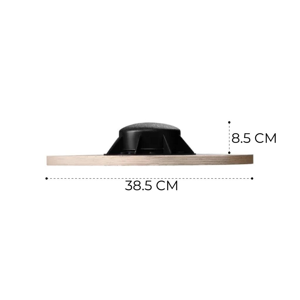 4physio Balancing Disc