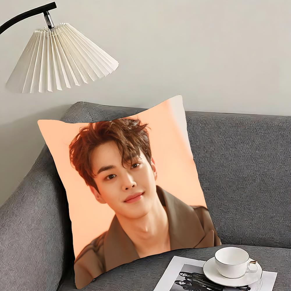 

Song Kang Cushion Cover Reversible Plush Pillow Cover – For car, sofa, bedroom, perfect as a gift. 12x12Inch