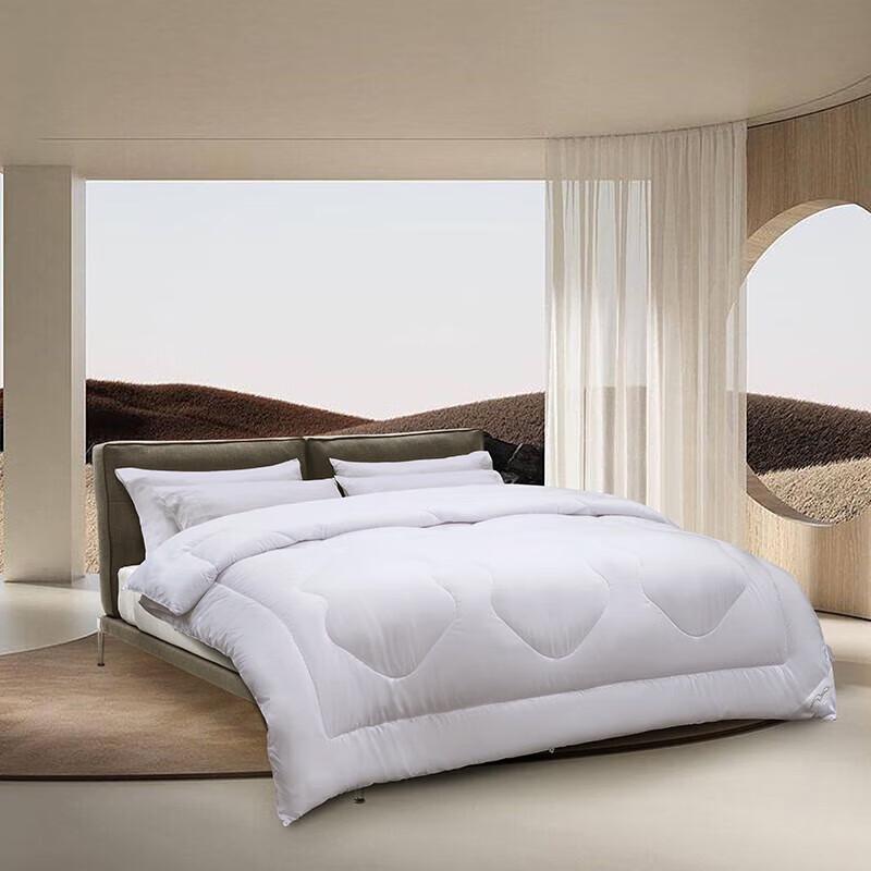 

Mercury Home Textiles Dusan Antibacterial All-Season Quilt